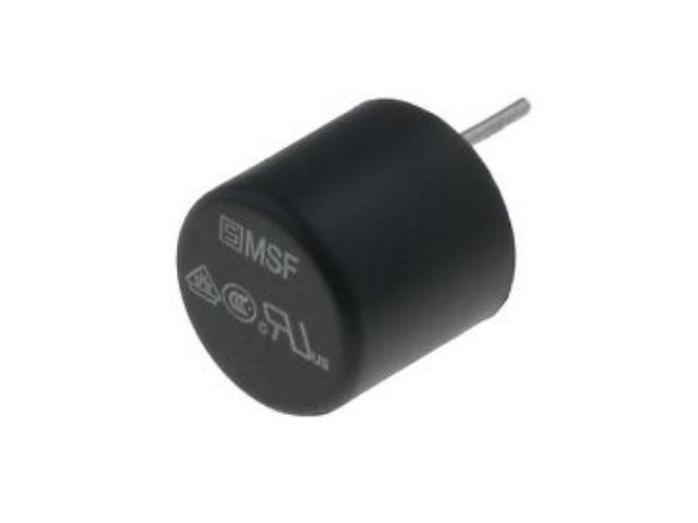 Fusible rapide 1.6A RFS-1-6A