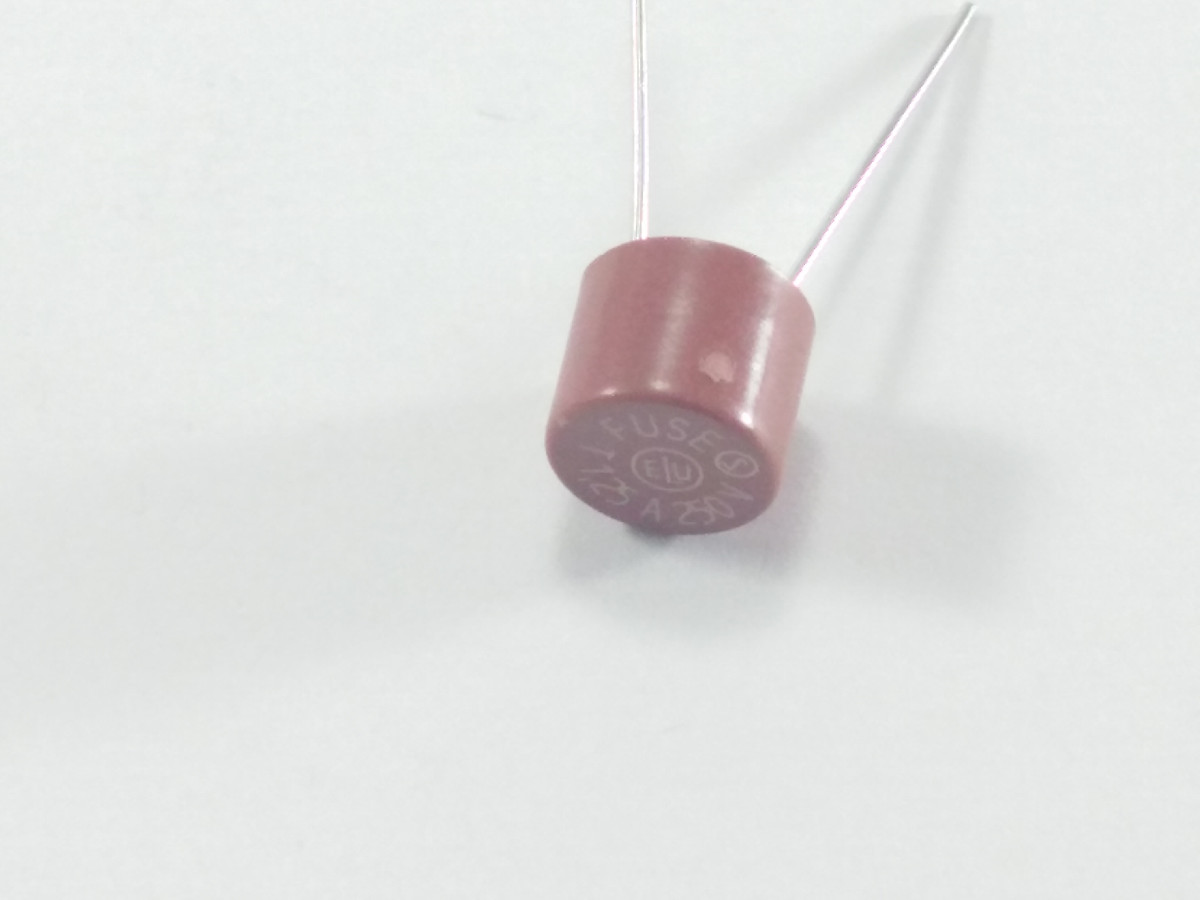 Fusible temporisé 1.25A RFT-1-25A