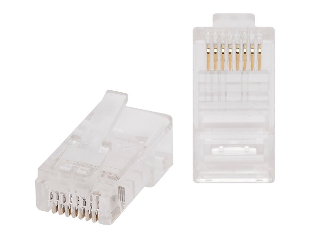 Connecteur RJ45 T004-WR